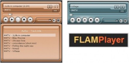 FLAMPlayer
