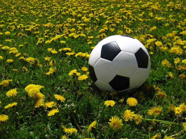 soccer free images