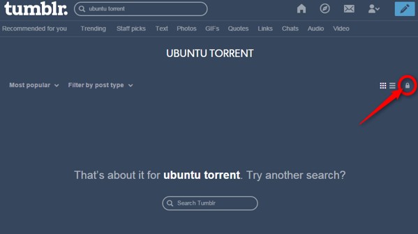 tumblr torrent