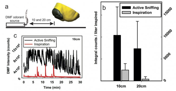 Staymates, M. E. et al. Biomimetic Sniffing Improves the Detection Performance of a 3D Printed Nose of a Dog and a Commercial Trace Vapor Detector. 