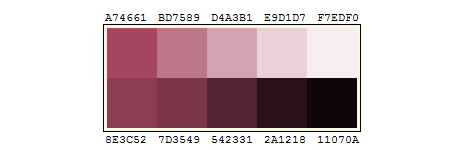 Color Palette Creator - Online Generator