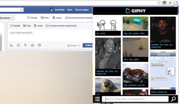 giphy gifs facebook