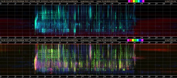 spectograma ruido Australia