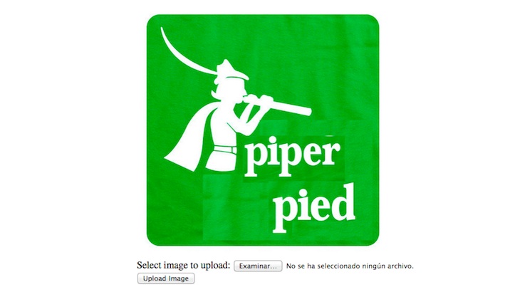 Piper Pied