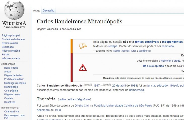 Página de Wikipedia con el perfil falso