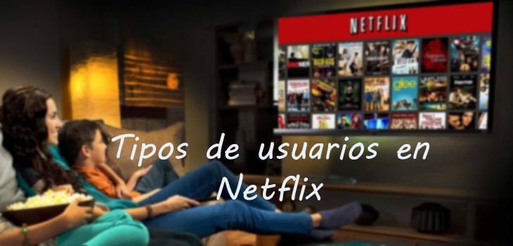 Tipos de usuarios en Netflix