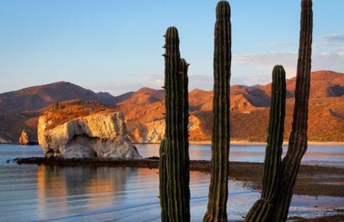 foto de la naturaleza