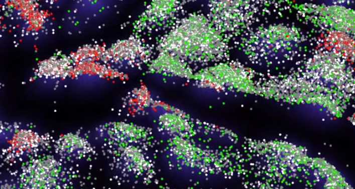lecho Ver internet campeón El «Microscopio DNA», una nueva tecnología para ver lo nunca visto