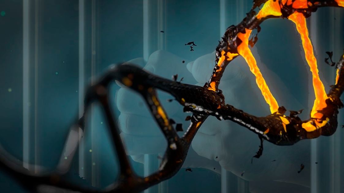 Científicos consiguen análisis de ADN en tiempo récord, para acelerar diagnósticos clínicos