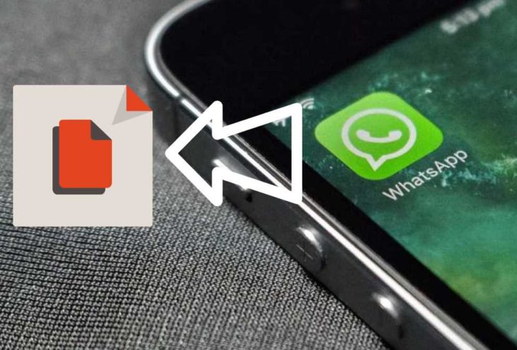 whatsapp accede archivos