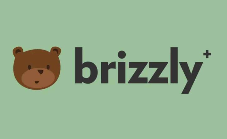 Brizzly Plus