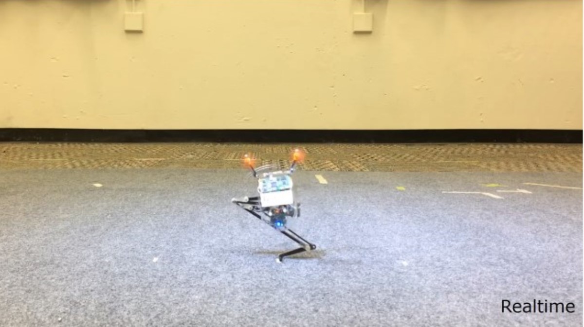 robot salto