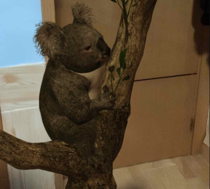 Koala en 3D