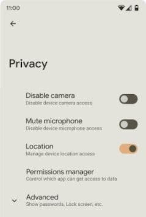 Privacidad Android 12