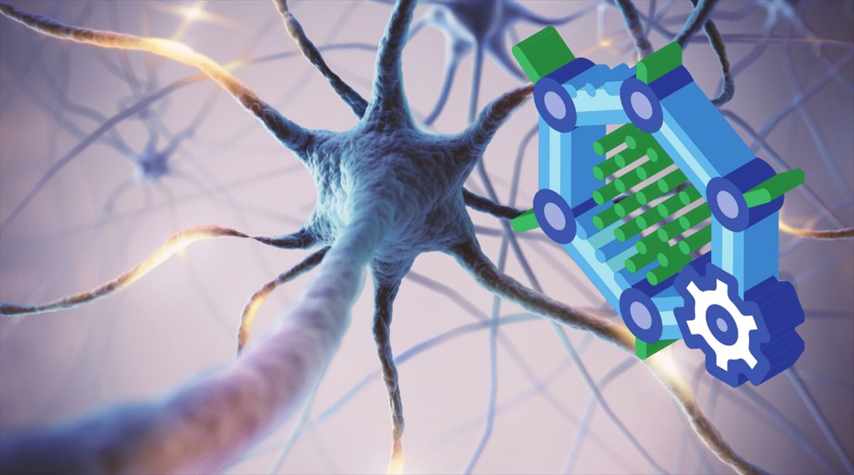 14 millones de inversión para implantes neuronales inteligentes basados ​​en grafeno