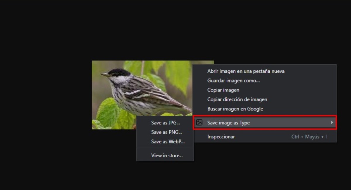 Para transformar imágenes a WebP, JPEG o PNG