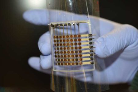 Pantalla OLED flexible mostrando colores vibrantes, representando la tecnología de paneles de nueva generación