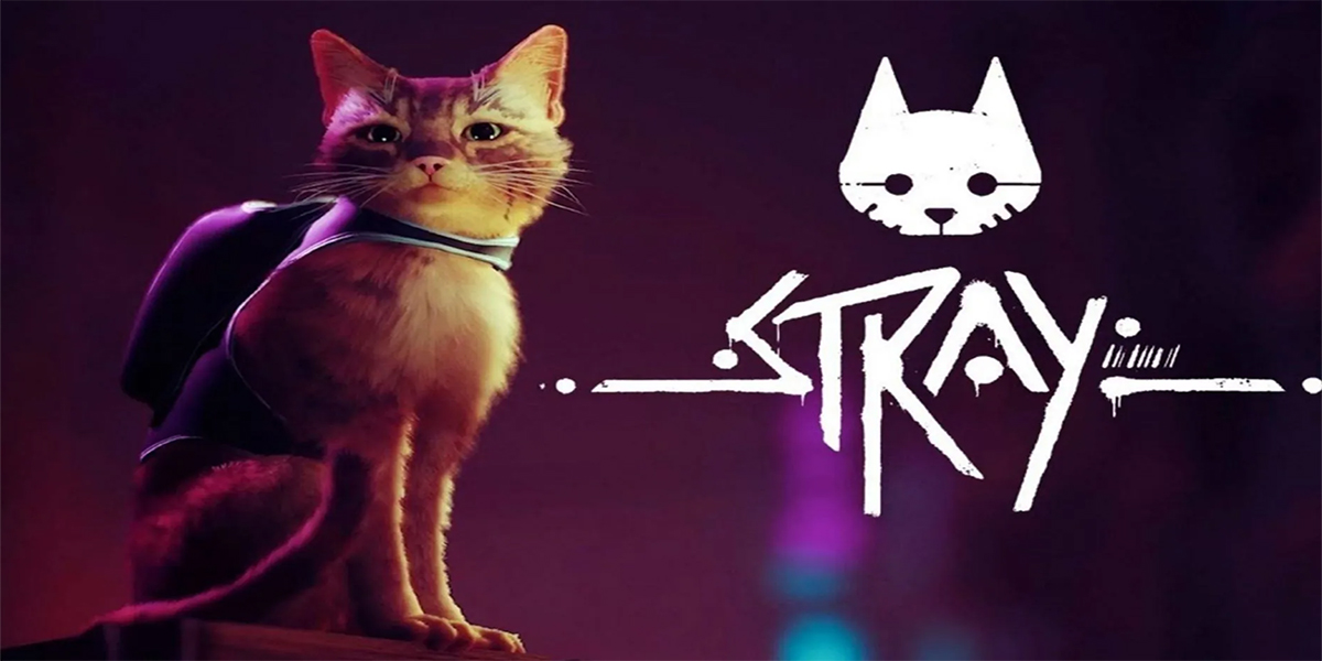 Stray for PS5