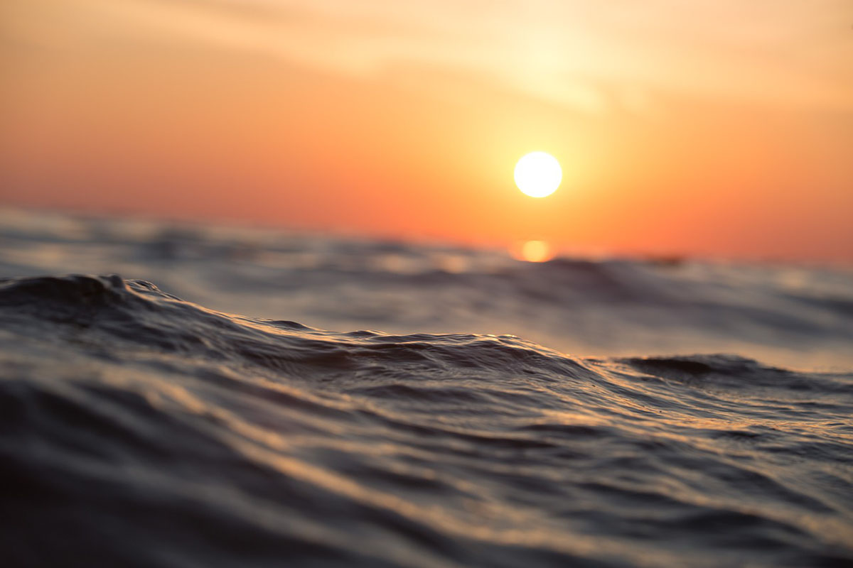 Científicos proponen fertilizar el océano con hierro para reducir el dióxido de carbono