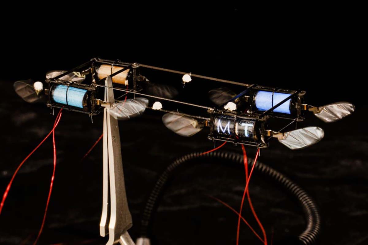 Desarrollan robots del tamaño de un insecto que emiten luz al volar como las luciérnagas