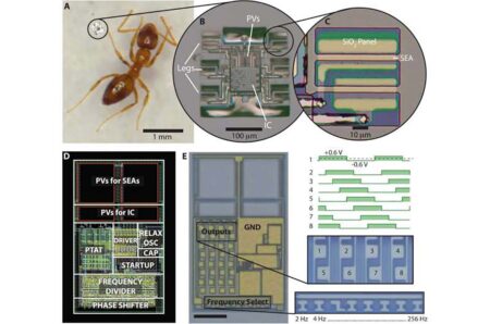 Investigadores logran que microrobots inteligentes se muevan de forma autónoma