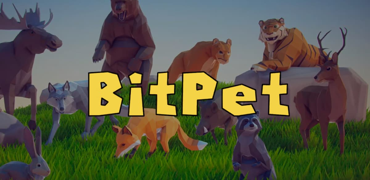 BitPet, un juego que fomenta la actividad física y el cuidado responsable de los animales