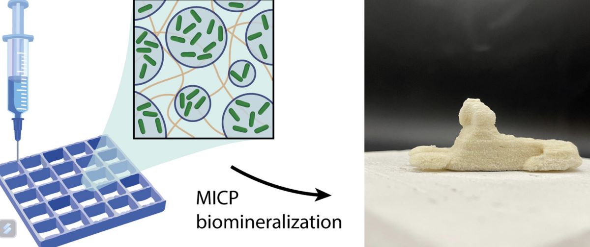 Una tinta con bacterias para producir biomateriales con impresoras 3D