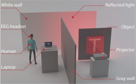 imagenes fantasmas interfaz cerebro