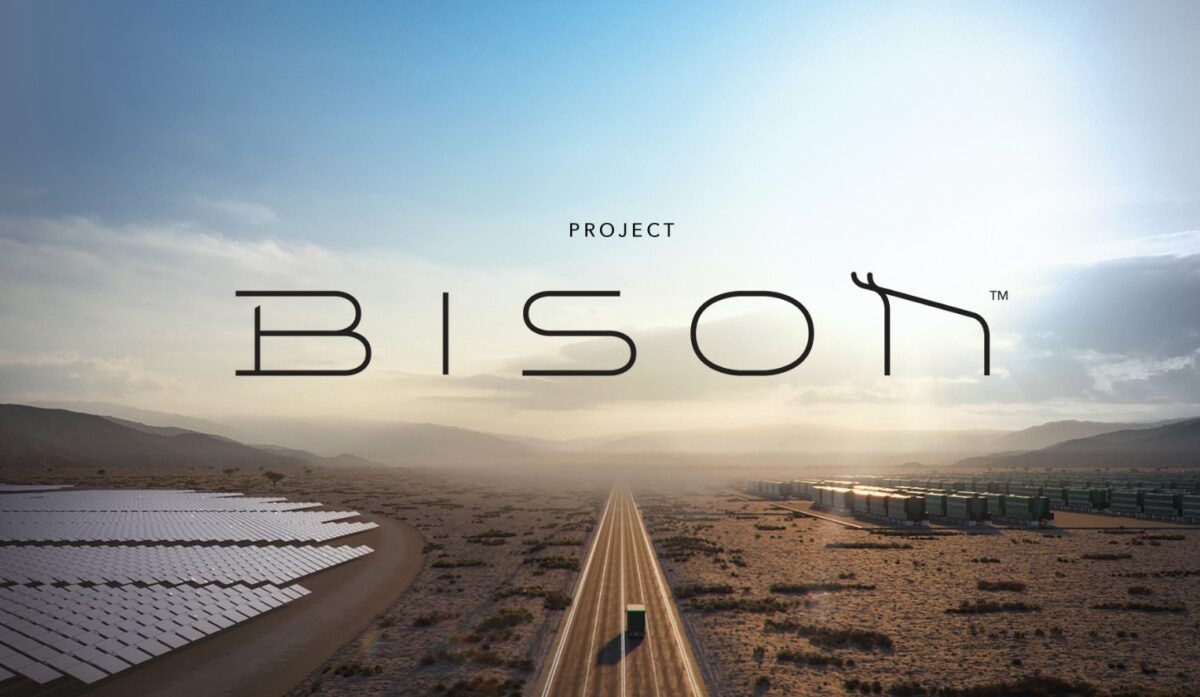 proyecto bison