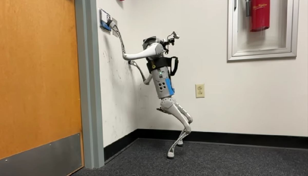 Robots que usan sus patas como si fueran brazos