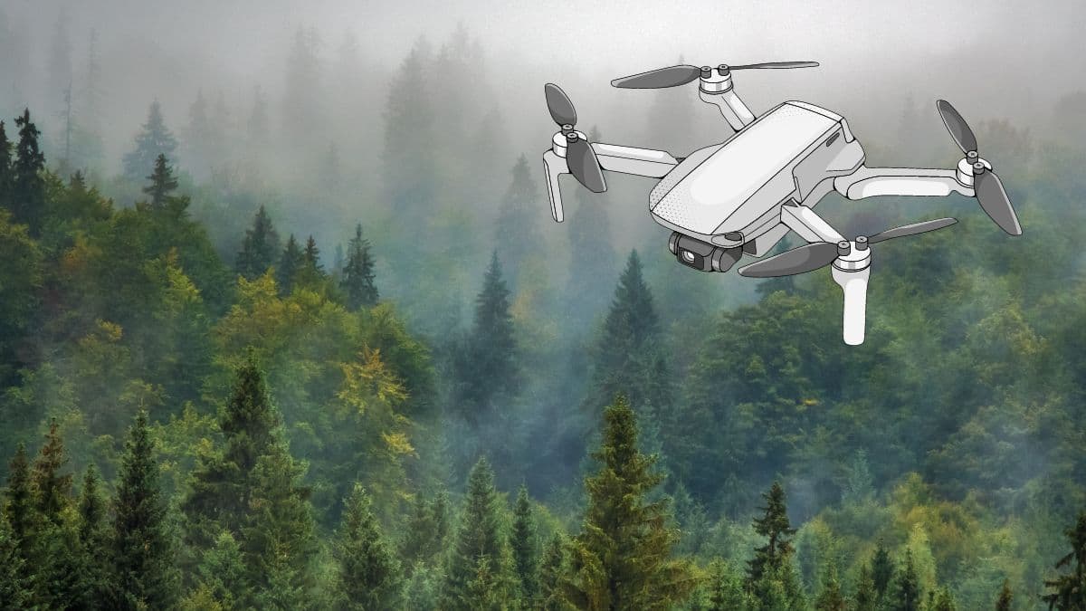 Investigadores del MIT desarrollan drones inspirados en aves para navegar en entornos cambiantes e invisibles