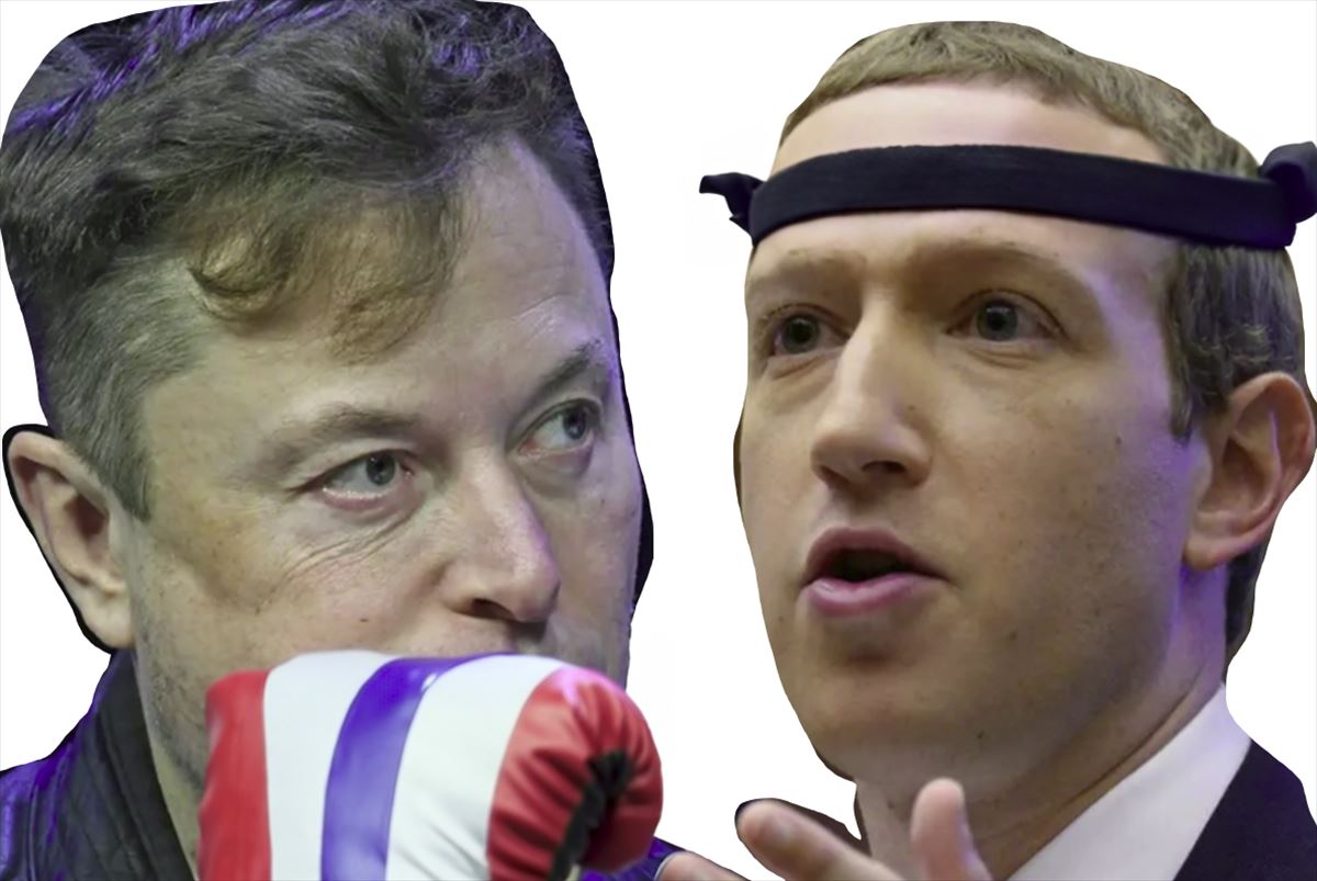 Elon Musk and Mark Zuckerberg have agreed to have a cage fight.