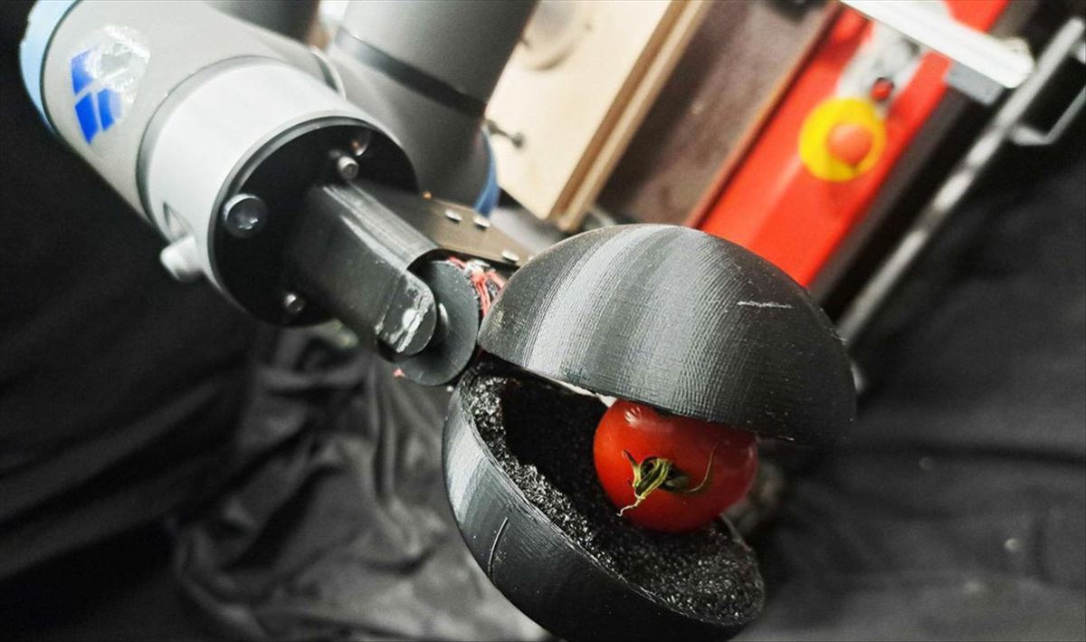 robot tomates