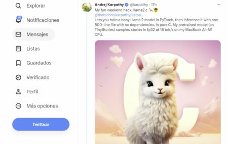 baby llama