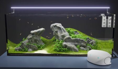 acuario