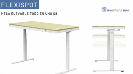 flexispot q8