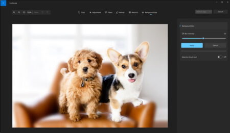 Esta herramienta de Windows 11 te permitirá desenfocar el fondo de una imagen