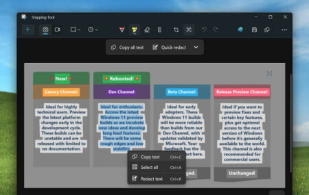 Windows 11 te permitirá extraer texto de las capturas de pantalla