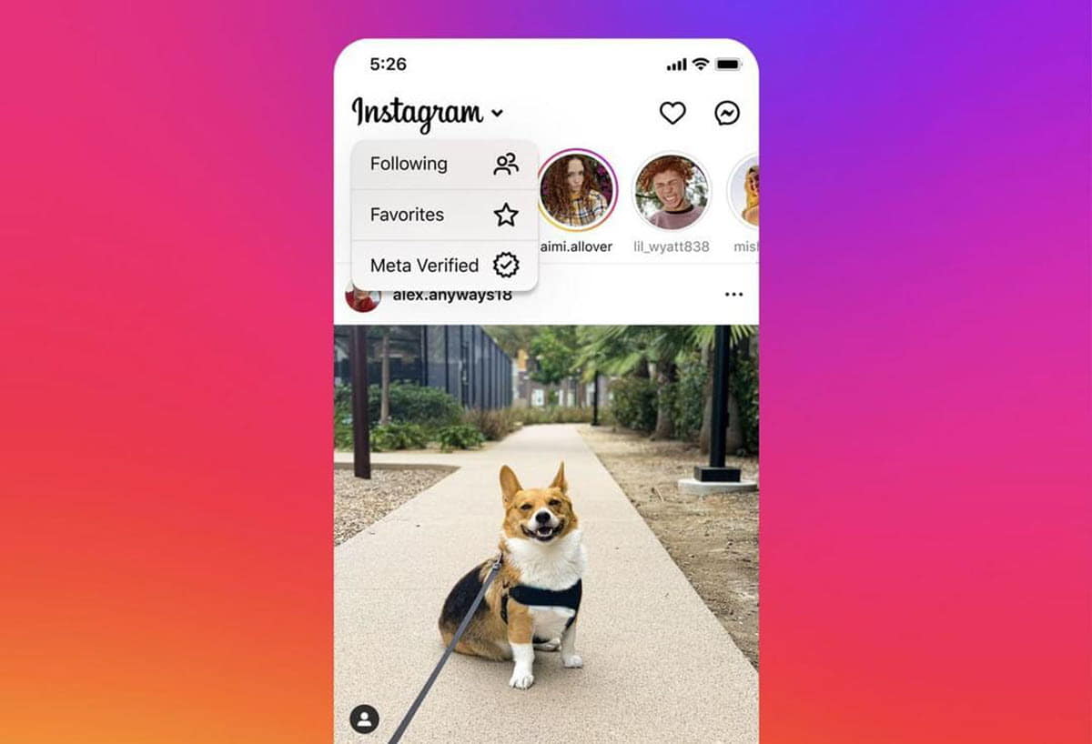 Instagram está probando un nuevo feed para publicaciones de creadores verificados