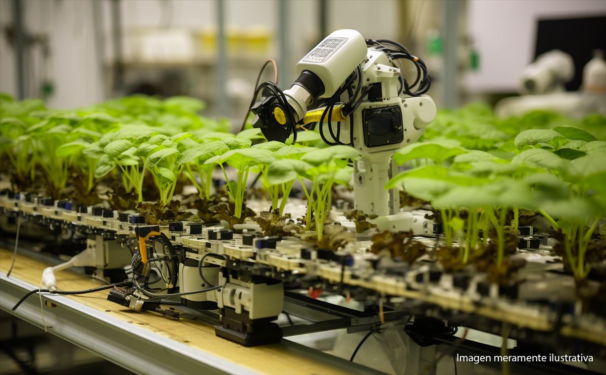 Avances en la robótica agrícola: El sistema MARS