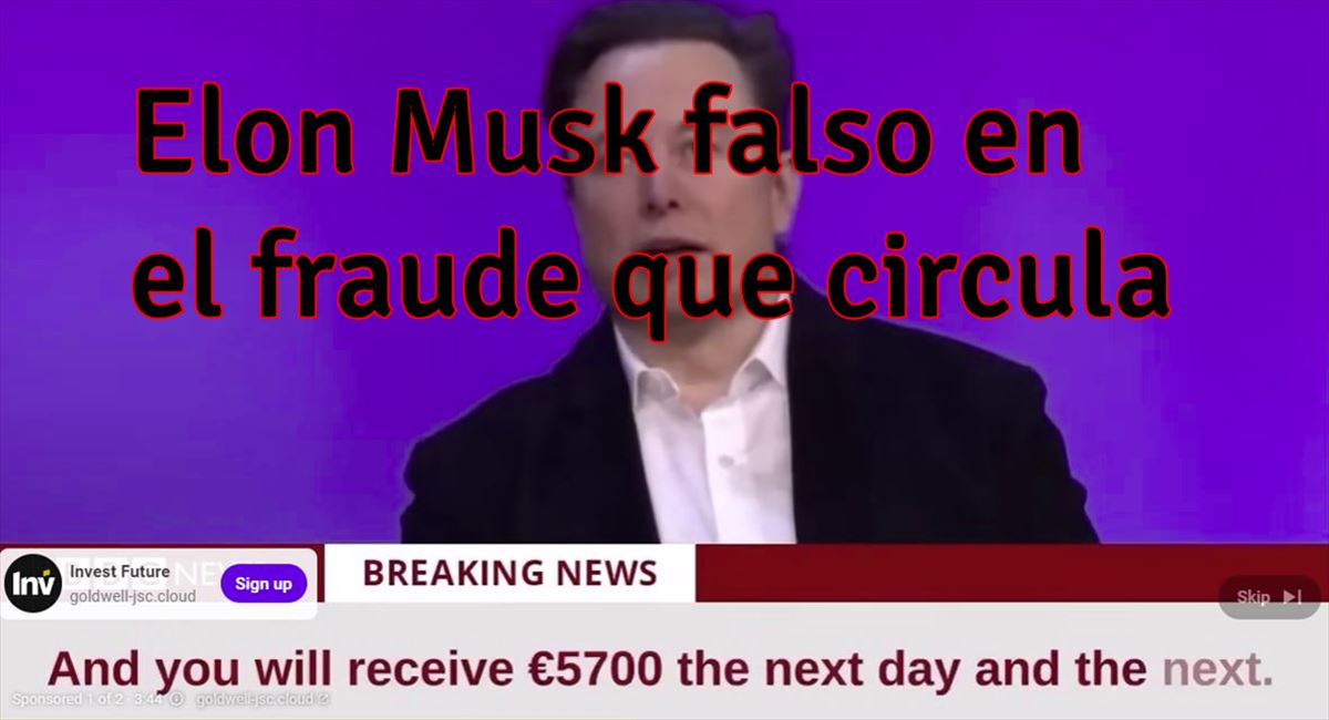 fraude Elon Musk