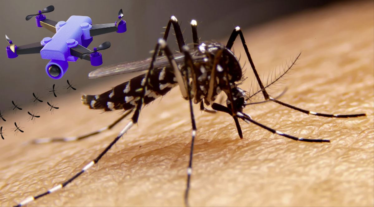 Lucha contra el dengue usando drones llenos de mosquitos estériles
