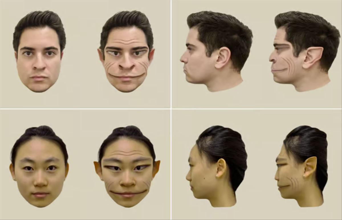 La percepción alterada de rostros y la tecnología en la lucha contra la prosopometamorfopsia