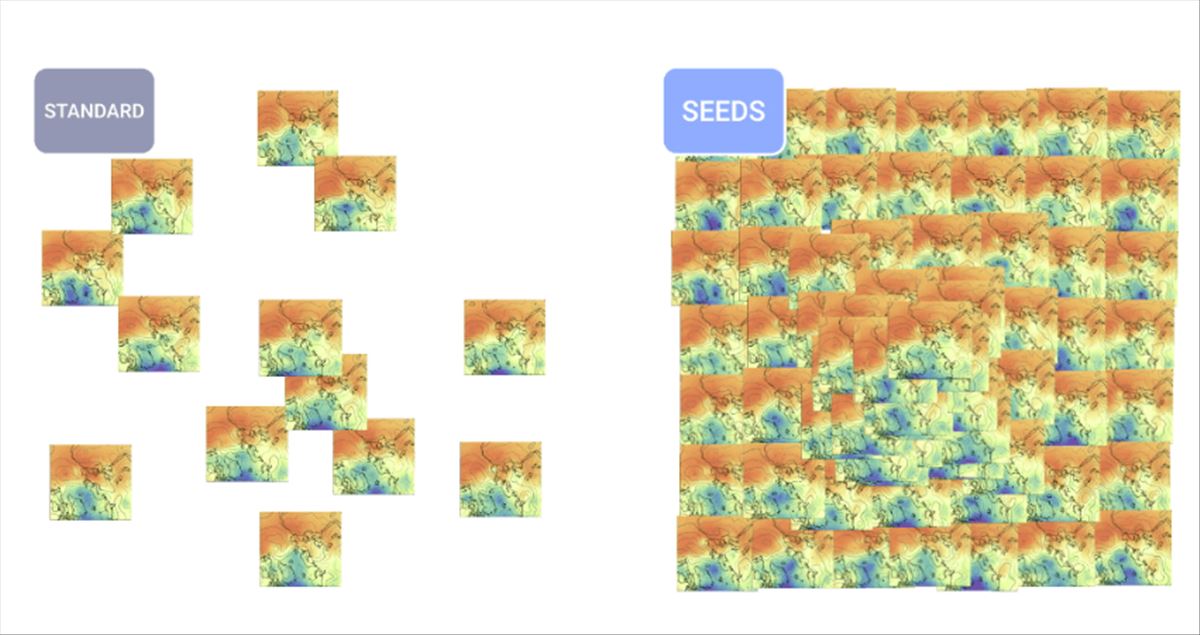 Google Seeds