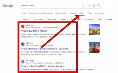 Sección Web en Google