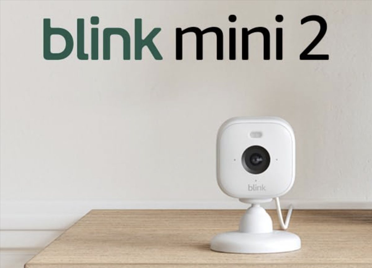 blink mini 2