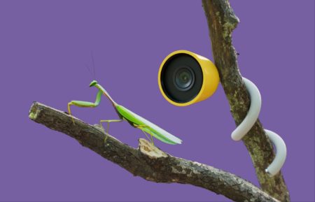 Bird Buddy revoluciona la conexión con la naturaleza en CES 2025