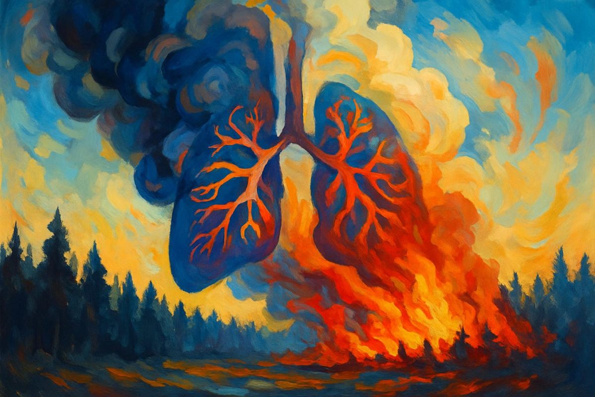 imagen_humo_incendios