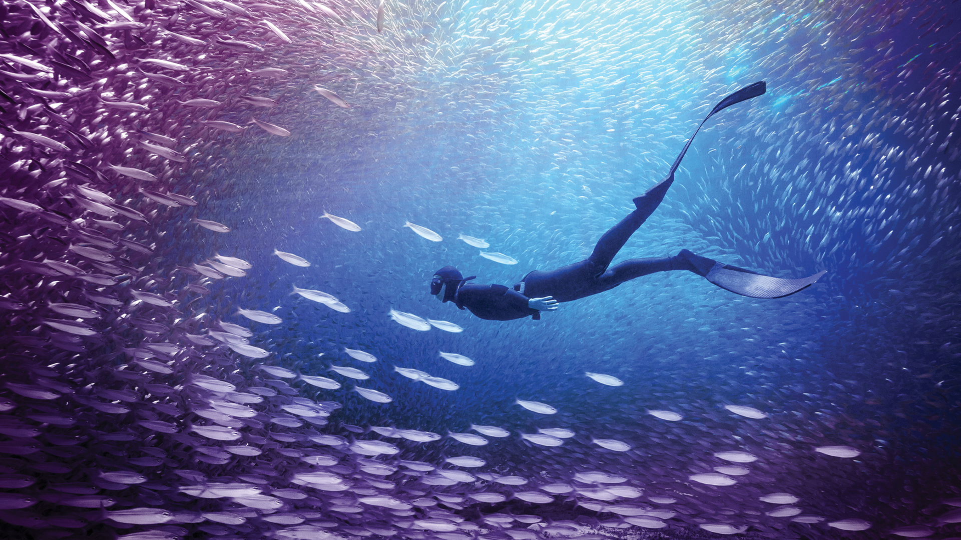 Adobe Elements 2026: edición inteligente para fotos y vídeos sin complicaciones