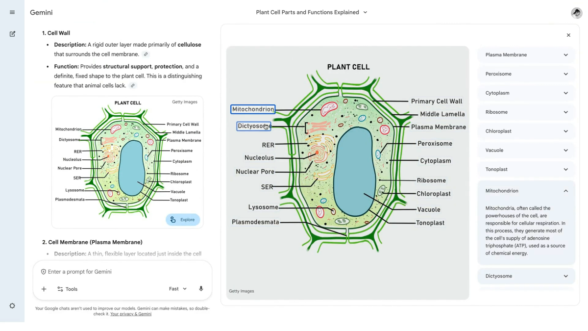 nueva apuesta educativa de Gemini